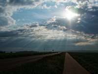 Morgensonne zwischen Dornstadt und Amstetten auf der B10