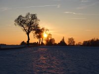 Abendsonne im Winter auf der Rauhen Alb nahe Nördlingen