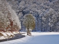 Winter im Schmiechtal Dezember 2017