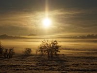 Winterbild nahe Donnstetten