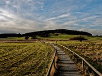 Im Schopflocher Moor (Torfgrube) zwischen Ochsenwand und Schopfloch