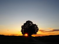 Sonnenuntergang auf dem Landgericht  Landgericht heißt eine Gegend westlich von Ehingen (Donau) auf der Schwäbischen Alb. Es handelt sich um eine Hochfläche zwischen Lautertal und Schmiechtal im Alb-Donau-Kreis.