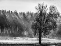 Die Sonne verdampft Schnee und Eis (nahe Heroldstatt)