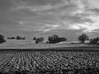 Im Winter nahe Laichingen