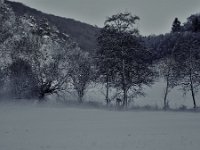 Winter im Schmiechtal Dezember 2017