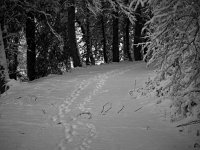 Winter im Schmiechtal Dezember 2017