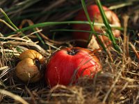 Herbst auf der Alb 2016