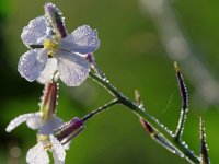 Schwäbische Alb Herbsttag (11)