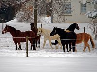 Winter auf der Schwäbischen Alb 2014