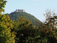 Burg Hohen Neuffen 2014