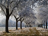 Schwäbische Alb Dezember 2016