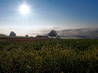 Schwäbische Alb Herbsttag (6)