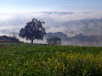 Schwäbische Alb Herbsttag (7) 2