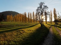 Tiefenbachtal bei Nürtingen