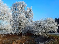 Winter auf der Schwäbischen Alb (2)