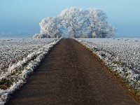 Winter auf der Schwäbischen Alb (4)