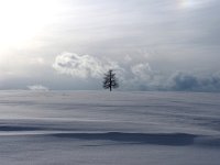 Winter Schwäbische Alb (1)