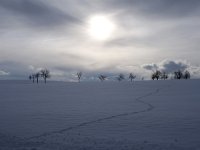 Winter Schwäbische Alb (2)